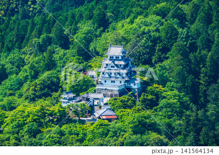 郡上八幡城 141564134