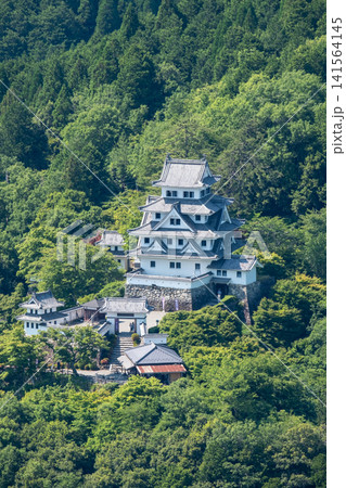 郡上八幡城 郡上八幡城 141564145