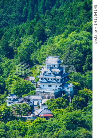 郡上八幡城 郡上八幡城 141564148