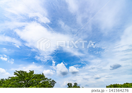 夏の青空と雲と樹木 夏の青空と雲と樹木 141564276