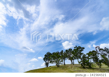 夏の青空と雲と草原 夏の青空と雲と草原 141564321