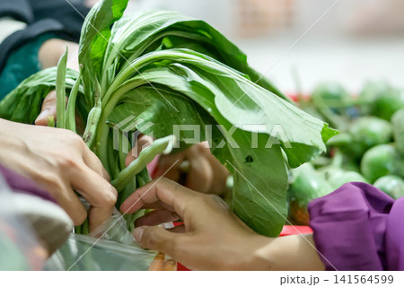 Closeup of hands selecting fresh green vegetables at a market stall Closeup of hands selecting fresh green vegetables at a market stall 141564599