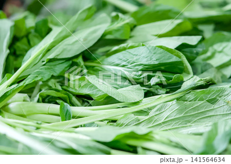 Fresh green choy sum vegetables on display at a local market, closeup view of leafy greens with long stems, healthy organic produce for cooking Fresh green choy sum vegetables on display at a local market, closeup view of leafy greens with long stems, healthy organic produce for cooking 141564634