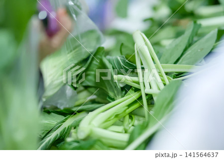 Fresh green choy sum vegetables on display at a local market, closeup view of leafy greens with long stems, healthy organic produce for cooking 141564637