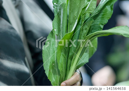 Fresh green choy sum vegetables on display at a local market, closeup view of leafy greens with long stems, healthy organic produce for cooking 141564638
