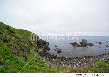 礼文島・スコトン岬の雄大な海と断崖の風景 礼文島・スコトン岬の雄大な海と断崖の風景 141564977