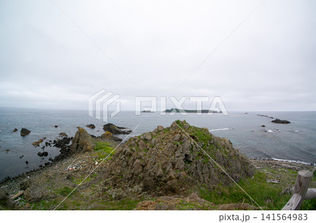 礼文島・スコトン岬の雄大な海と断崖の風景 141564983