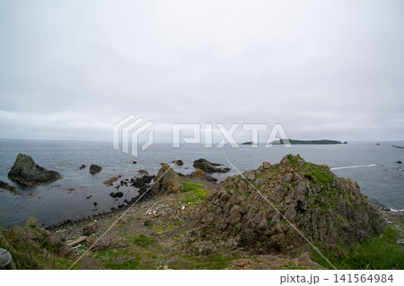 礼文島・スコトン岬の雄大な海と断崖の風景 礼文島・スコトン岬の雄大な海と断崖の風景 141564984