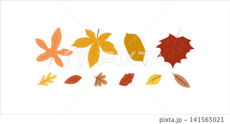 Collection of hand drawn autumn leaves. colorful autumn leaves set 141565021