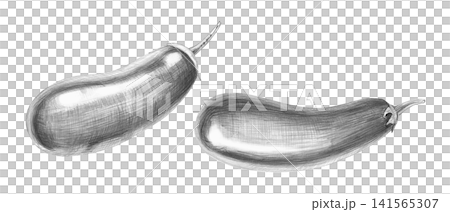A set of eggplants, drawn in pencil, with realistic shading and play of light. Ideal for restaurant menus, product labels, cookbooks, healthy lifestyle articles, and articles on healthy eating. 141565307