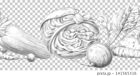 Seamless border with cabbage, beets, zucchini, radishes, and carrots. Graphite pencil illustration for culinary blogs, restaurants, farm food stores, educational materials, and packaging. 141565316
