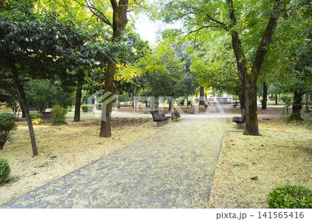 Kings park in Podgorica, Montenegro Kings park in Podgorica, Montenegro 141565416