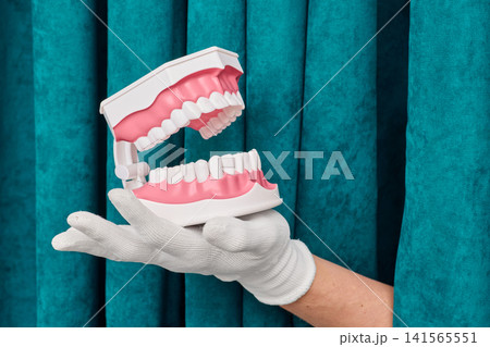 Gloved hand holding open anatomical model of human jaw and teeth rows. Dentistry diagnostic consultation and malocclusion correction. Gloved hand holding open anatomical model of human jaw and teeth rows. Dentistry diagnostic consultation and malocclusion correction. 141565551