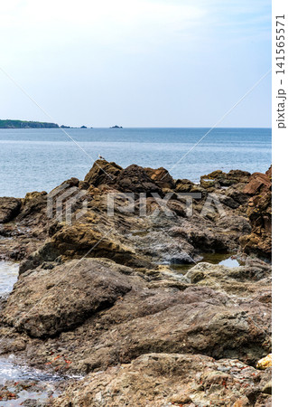 夏の佐渡の海の風景、下相川の千畳敷付近 夏の佐渡の海の風景、下相川の千畳敷付近 141565571