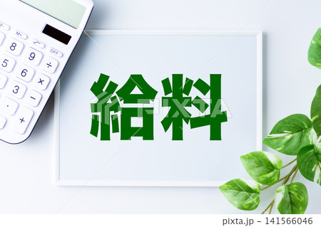 給料の文字のホワイトボード 給料の文字のホワイトボード 141566046
