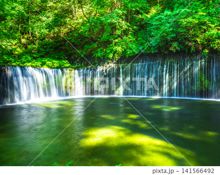 夏の軽井沢 白糸の滝 夏の軽井沢 白糸の滝 141566492
