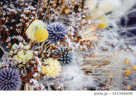 Close-up texture of dried wildflowers bouquet with craspedia and bunny tails. Close-up texture of dried wildflowers bouquet with craspedia and bunny tails. 141566696