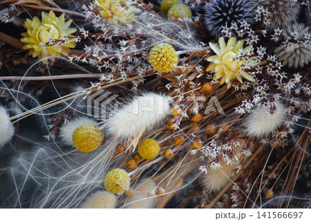 Close-up texture of dried wildflowers bouquet with craspedia and bunny tails. Close-up texture of dried wildflowers bouquet with craspedia and bunny tails. 141566697