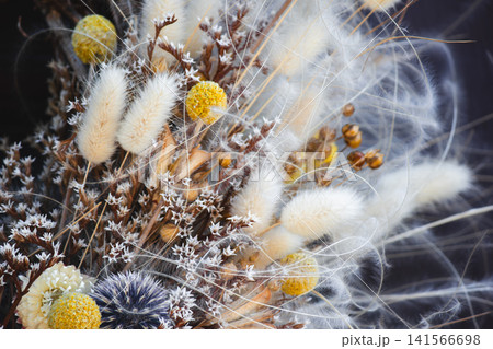 Dried floral arrangement with fluffy lagurus and feather grass on dark background Dried floral arrangement with fluffy lagurus and feather grass on dark background 141566698