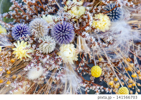 Macro shot of dried bouquet with globe thistle and strawflower arrangement. Macro shot of dried bouquet with globe thistle and strawflower arrangement. 141566703