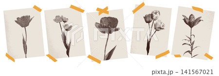 Brown flower posters with stipple photocopy halftone effect. Gritty tulip and peony prints on taped beige paper sheets. Vector set of stippled flowers with orange tape for retro wall art gallery 141567021