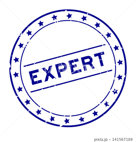 Grunge blue expert word round seal stamp on white background 141567189