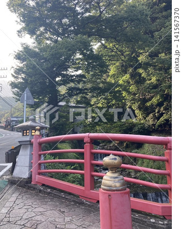 木漏れ日が差し込む渓流と赤い橋のある日本の風景 木漏れ日が差し込む渓流と赤い橋のある日本の風景 141567370