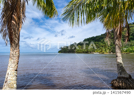 Coastline and Mountains on Tahaa Island, French Polynesia 141567490