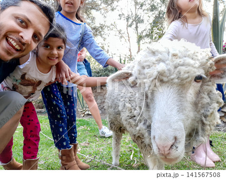 Cheerful family taking selfie with fluffy sheep in garden 141567508