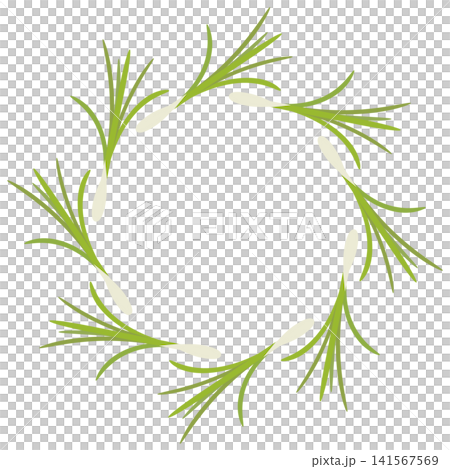 Lemongrass circular frame Lemongrass circular frame 141567569