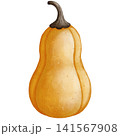 Watercolor Halloween Pear Shaped Pumpkin Clipart Illustration for Spooky Fall Decor, Autumn Harvest Invitation, Scrapbooking, Sticker Design, and Festive Crafts 141567908