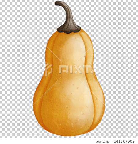 Watercolor Halloween Pear Shaped Pumpkin Clipart Illustration for Spooky Fall Decor, Autumn Harvest Invitation, Scrapbooking, Sticker Design, and Festive Crafts Watercolor Halloween Pear Shaped Pumpkin Clipart Illustration for Spooky Fall Decor, Autumn Harvest Invitation, Scrapbooking, Sticker Design, and Festive Crafts 141567908