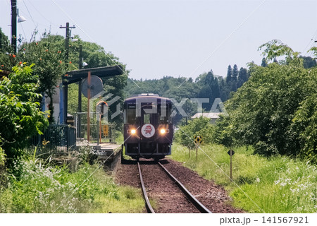 夏草茂る勅使駅に到着する信楽高原鐵道 夏草茂る勅使駅に到着する信楽高原鐵道 141567921
