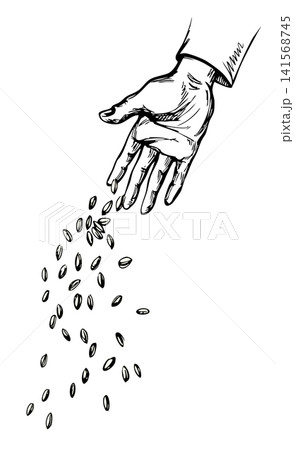 Vector drawing. Man sowing seeds Vector drawing. Man sowing seeds 141568745