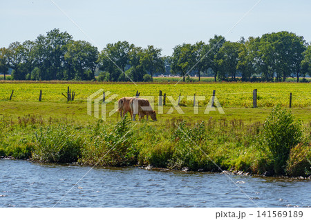 Haren and the ems river in northern germany Haren and the ems river in northern germany 141569189