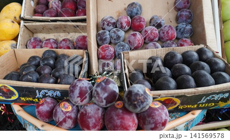 Cardboard boxes filled with colorful plums, dusty coating visible 141569578