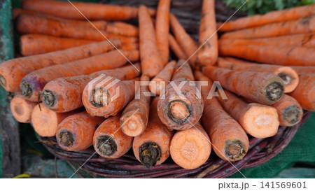 Basket of dirty carrots, some freshly cut showing bright interior Basket of dirty carrots, some freshly cut showing bright interior 141569601