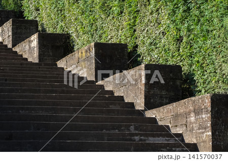 Stone steps rise upward, flanked by lush greenery Stone steps rise upward, flanked by lush greenery 141570037