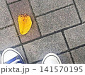 秋の散歩道 141570195