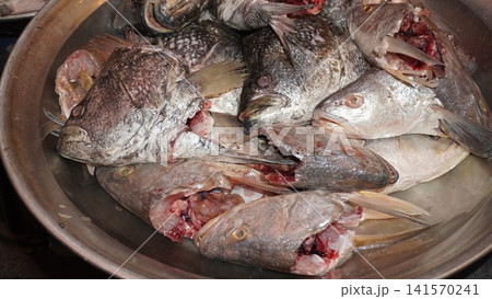 Bowl of headless fish showing silver scales and flesh Bowl of headless fish showing silver scales and flesh 141570241