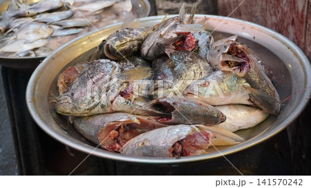 Bowl of gutted fish with heads, red flesh visible Bowl of gutted fish with heads, red flesh visible 141570242