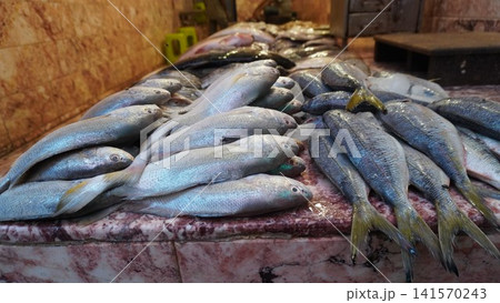Silver fish pile on marble surface under warm light Silver fish pile on marble surface under warm light 141570243