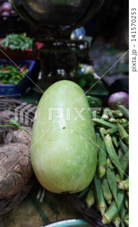 Close up of ash gourd with okra and leafy greens Close up of ash gourd with okra and leafy greens 141570253