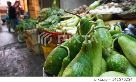 Market display of gourds, cucumbers, and leafy greens Market display of gourds, cucumbers, and leafy greens 141570254