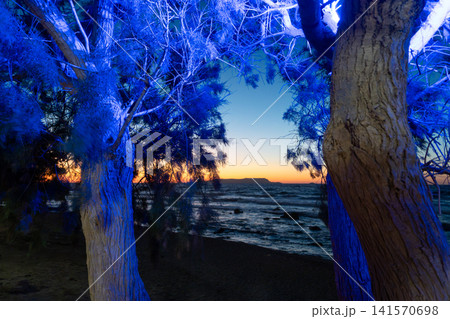 Trees with blue neon illumination on sea coast at sunset 141570698