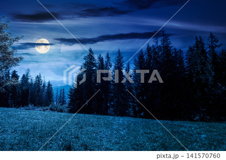 mysterious landscape with coniferous forest in summer at night. fantasy view of mountain landscape in poland. full moon over scenic spruce trees on a grassy alpine meadow. dark sky above the ridge mysterious landscape with coniferous forest in summer at night. fantasy view of mountain landscape in poland. full moon over scenic spruce trees on a grassy alpine meadow. dark sky above the ridge 141570760