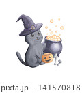 Kitty in witch hat with boiling cauldron, basket and mushrooms isolated on white background. Hand drawn watercolor illustration of adorable kitten with festive items. Perfect for nursery decor  141570818