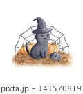 Black cat in witch hat and spider sitting on grass with pumpkins, mushrooms and web isolated on white background. Hand drawn watercolor illustration of cheerful cute characters.For childrens book 141570819