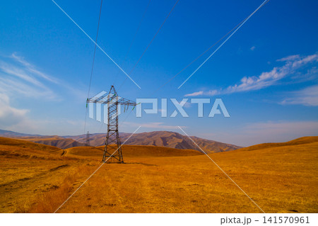 Electricity pylons in golden landscape under blue sky 141570961