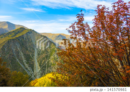 Vibrant Autumn Mountain Landscape in Kyrgyzstan Vibrant Autumn Mountain Landscape in Kyrgyzstan 141570981